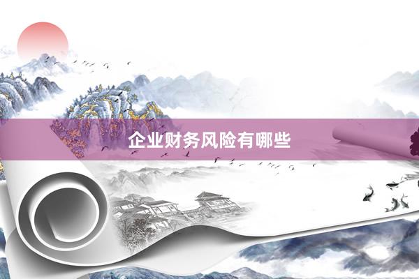 企业财务风险有哪些