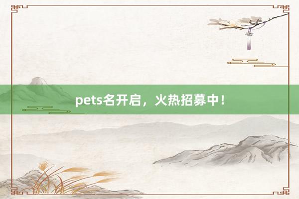 pets名开启，火热招募中！