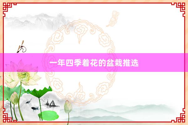 一年四季着花的盆栽推选