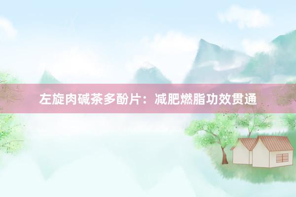 左旋肉碱茶多酚片：减肥燃脂功效贯通